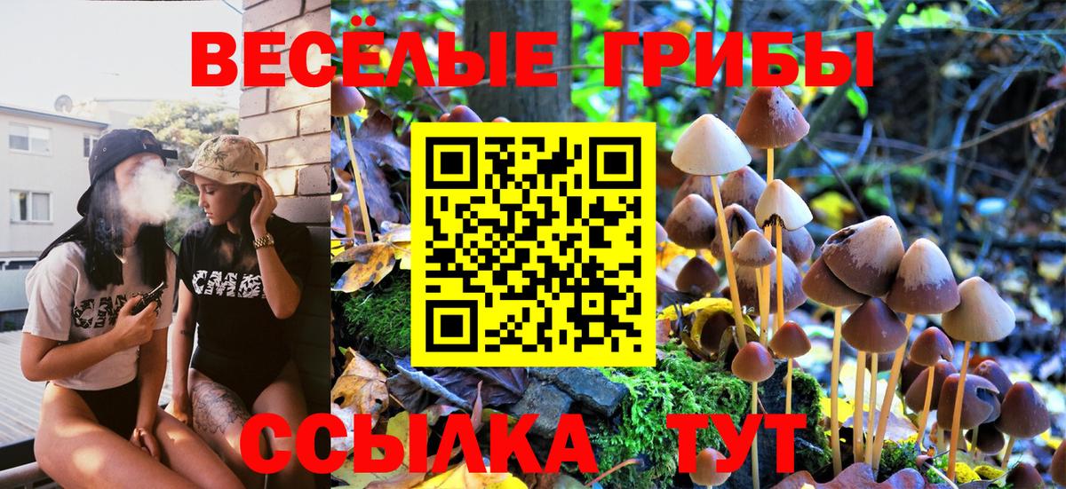 Кинель  Галлюциногенные грибы Psilocybe  Вход с VPN 